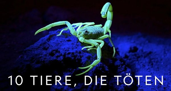 10 Tiere, die töten – Bild: National Geographic/Sky 10 Tiere, die töten – Bild: National Geographic/Sky