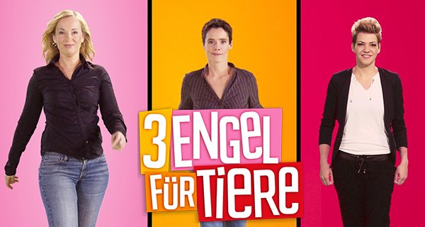 3 Engel für Tiere – Bild: VOX 3 Engel für Tiere – Bild: VOX