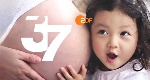 37 Grad – Bild: ZDF und Shutterstock / [M] Vielfein