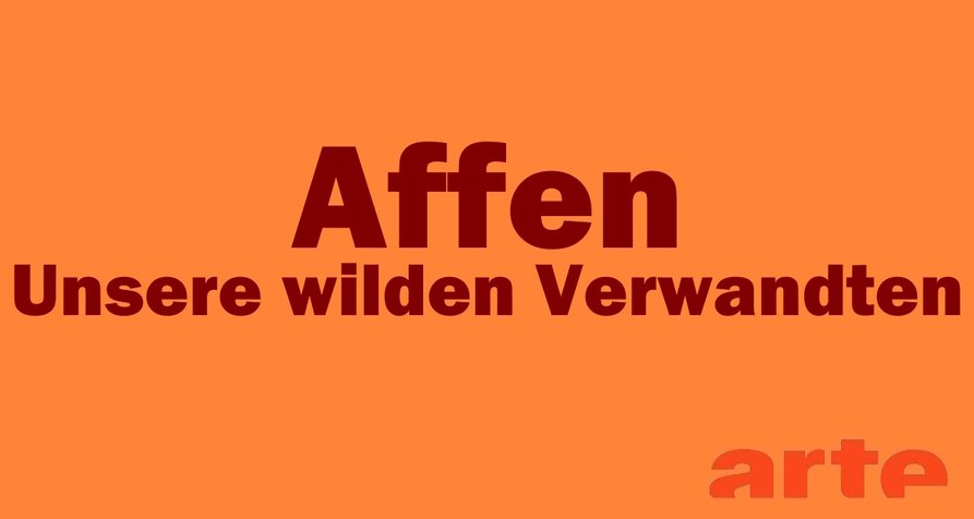 Affen – Unsere wilden Verwandten – Bild: arte