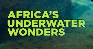 Afrika: Unterwasserwelten