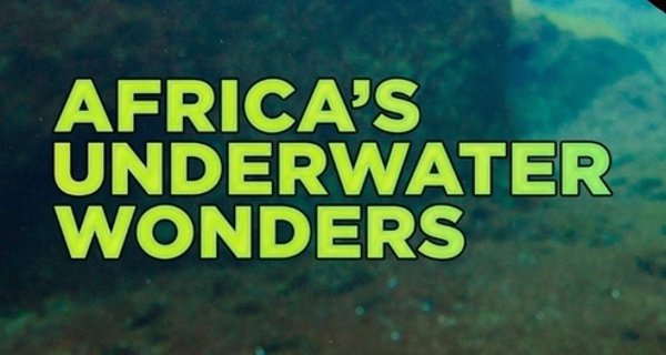 Afrika: Unterwasserwelten – Bild: Love Nature Afrika: Unterwasserwelten – Bild: Love Nature