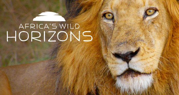 Afrika: Wilder Horizont – Bild: Smithsonian Channel