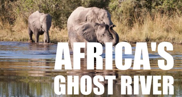 Afrikas Geisterfluss – Bild: National Geographic Wild