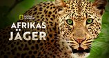 Afrikas Jäger – Bild: National Geographic