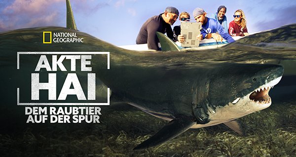 Akte Hai – Dem Raubtier auf der Spur – Bild: National Geographic/Red Rock Films Akte Hai – Dem Raubtier auf der Spur – Bild: National Geographic/Red Rock Films