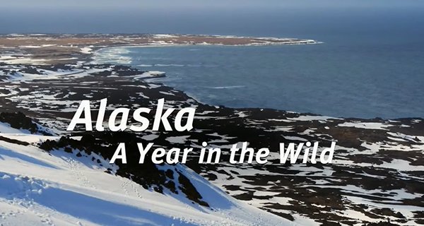 Alaska: Ein Jahr in der Wildnis – Bild: Channel 5/Tigress Productions