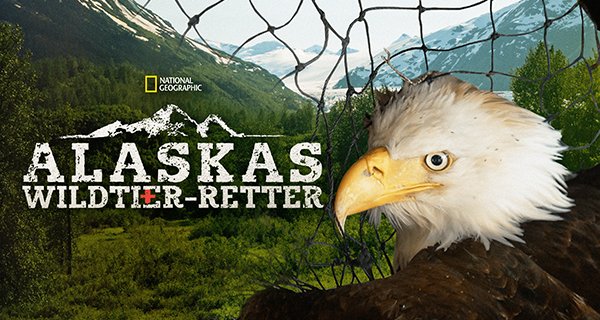 Alaskas Wildtier-Retter – Bild: National Geographic