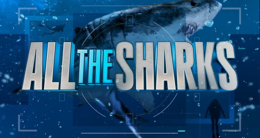All the Sharks – Bild: Netflix All the Sharks – Bild: Netflix