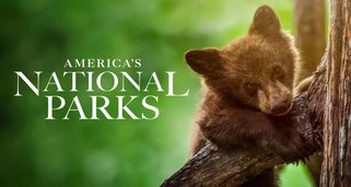 Amerikas Nationalparks