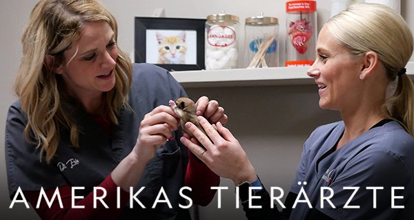 Amerikas Tierärzte – Bild: National Geographic Amerikas Tierärzte – Bild: National Geographic