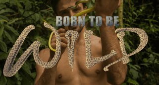 Andrew Ucles – Born to be Wild