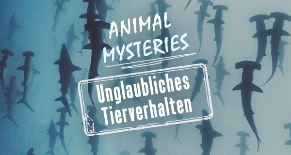 Animal Mysteries – Unglaubliches Tierverhalten – Bild: Animal Planet