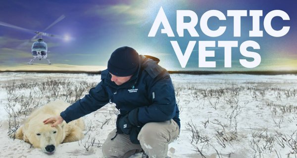 Unsere Helden: Die Tierärzte in der Arktis – Bild: Canadian Broadcasting Corporation