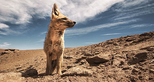 Argentinien: Land der Extreme – Bild: National Geographic Argentinien: Land der Extreme – Bild: National Geographic