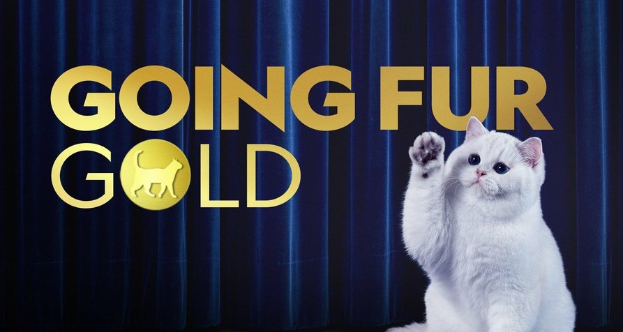 Auf alle Felle Gold! – Bild: National Geographic/Painless Productions Auf alle Felle Gold! – Bild: National Geographic/Painless Productions