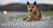 Australiens wilde ... – Bild: arte/Off the Fence/Dan Proud Australiens wilde ... – Bild: arte/Off the Fence/Dan Proud