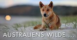 Australiens wilde ... – Bild: arte/Off the Fence/Dan Proud Australiens wilde ... – Bild: arte/Off the Fence/Dan Proud
