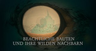 Beachtliche Bauten und ihre wilden Nachbarn