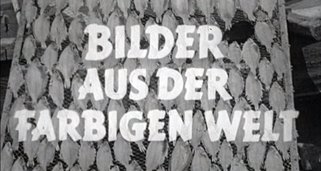 Bilder aus der farbigen Welt