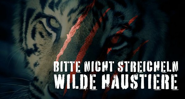 Bitte nicht streicheln – Wilde Haustiere – Bild: Blizzard Road Productions/Cineflix/WeltN24 GmbH Bitte nicht streicheln – Wilde Haustiere – Bild: Blizzard Road Productions/Cineflix/WeltN24 GmbH