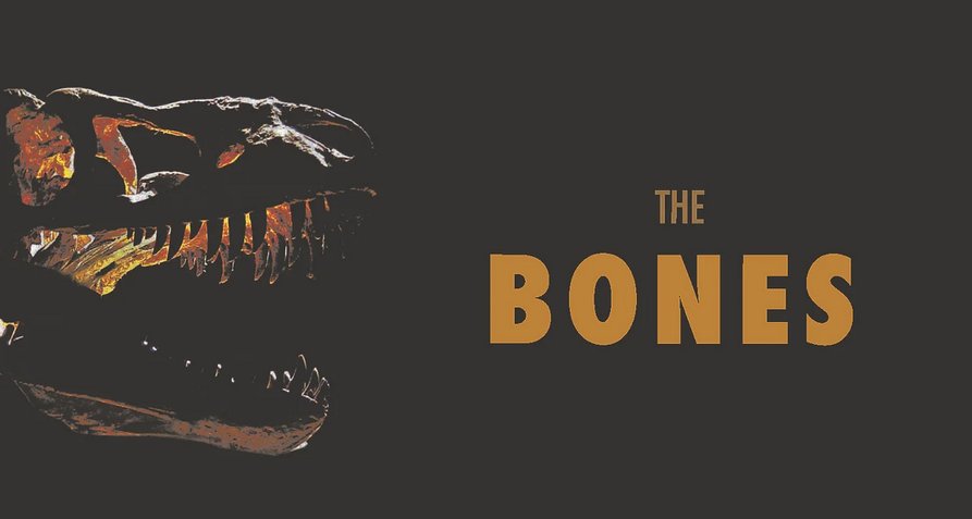 Bones – Auf der Jagd nach Dino-Fossilien – Bild: Berlin Producers/Intuitive Pictures