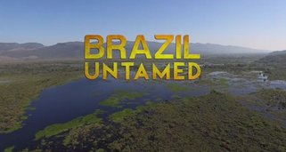 Brasilien ungezähmt