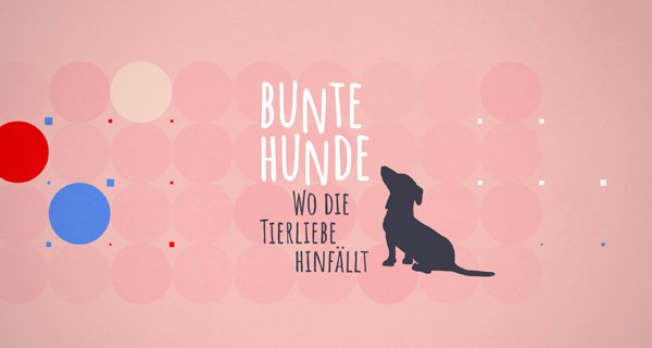 Bunte Hunde – Wo die Tierliebe hinfällt – Bild: RTL Bunte Hunde – Wo die Tierliebe hinfällt – Bild: RTL