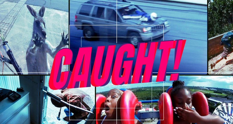 Caught! – Die Kamera sieht alles – Bild: Anomaly Entertainment / Magilla Entertainment