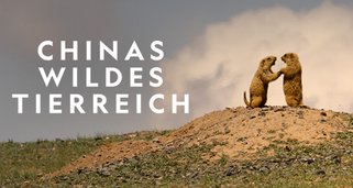 Chinas wildes Tierreich