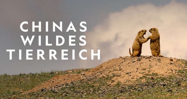 Chinas wildes Tierreich – Bild: National Geographic