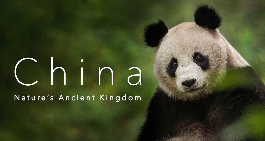 Chung Kuo – Cina – Bild: BBC Studios/China International Television Corporation/Oxford Scientific Films Chung Kuo – Cina – Bild: BBC Studios/China International Television Corporation/Oxford Scientific Films