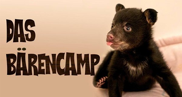 Das Bärencamp – Bild: Love Nature Das Bärencamp – Bild: Love Nature