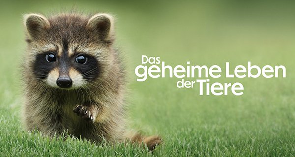 Das geheime Leben der Tiere – Bild: Apple TV+ Das geheime Leben der Tiere – Bild: Apple TV+