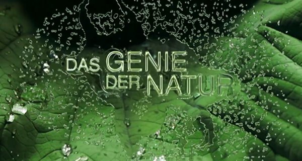 Das Genie der Natur – Bild: 3sat Das Genie der Natur – Bild: 3sat