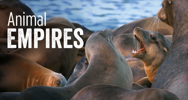 Das Kaiserreich der Tiere – Bild: Smithsonian Channel/Garance Pictures
