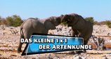 Das kleine 1x1 der Artenkunde – Bild: SWR/Planet-Schule.de