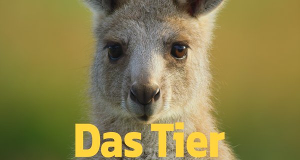 Das Tier – Bild: Netflix 2021 Das Tier – Bild: Netflix 2021