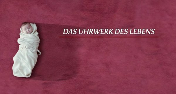 Das Uhrwerk des Lebens – Bild: arte/ZDF/Februar Film Das Uhrwerk des Lebens – Bild: arte/ZDF/Februar Film