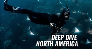 Deep Dive North America