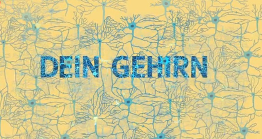 Dein Gehirn – Bild: WDR (Screenshot)