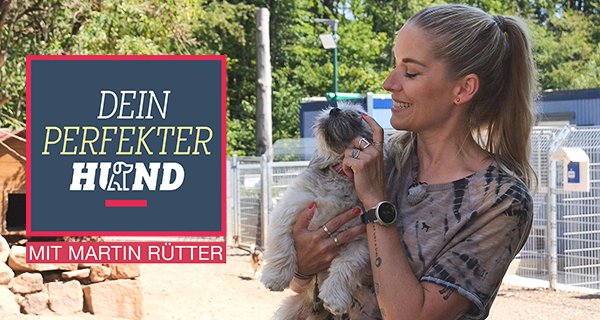 Dein perfekter Hund – Bild: RTL Dein perfekter Hund – Bild: RTL