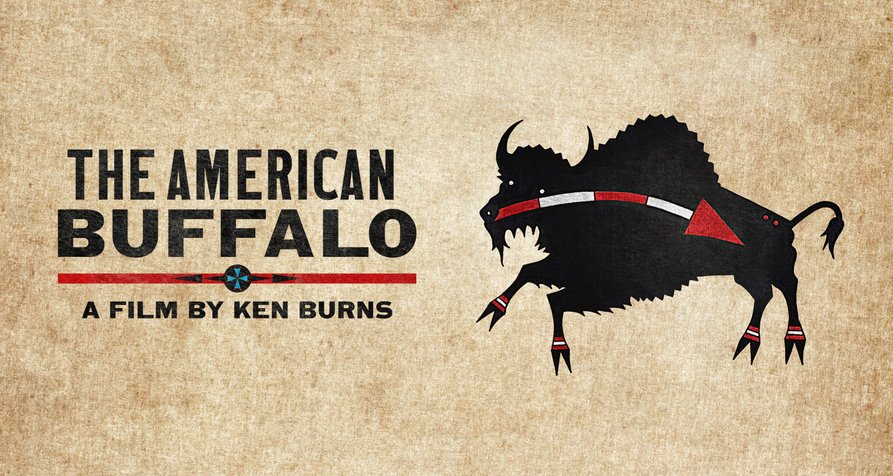 Der Amerikanische Bison – Bild: Florentine Films Der Amerikanische Bison – Bild: Florentine Films