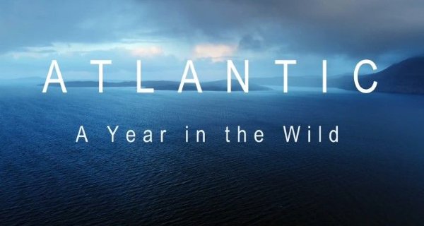 Der Atlantik: Ein Jahr in der Wildnis – Bild: Channel 5 (Screenshot) Der Atlantik: Ein Jahr in der Wildnis – Bild: Channel 5 (Screenshot)