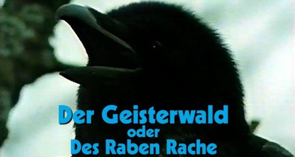 Der Geisterwald Der Geisterwald