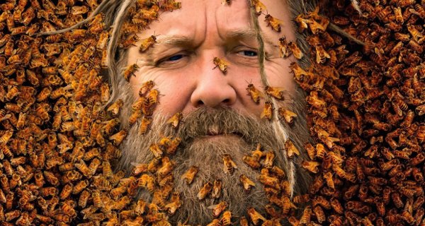 Der Herr der Bienen – Bild: Discovery