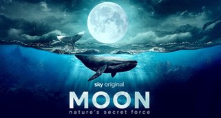 Der Mond – Geheimnisvolle Kraft der Natur Der Mond – Geheimnisvolle Kraft der Natur