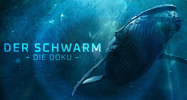 Der Schwarm – Die Doku – Bild: ZDF/Julian Balducci/Gruppe 5 Der Schwarm – Die Doku – Bild: ZDF/Julian Balducci/Gruppe 5