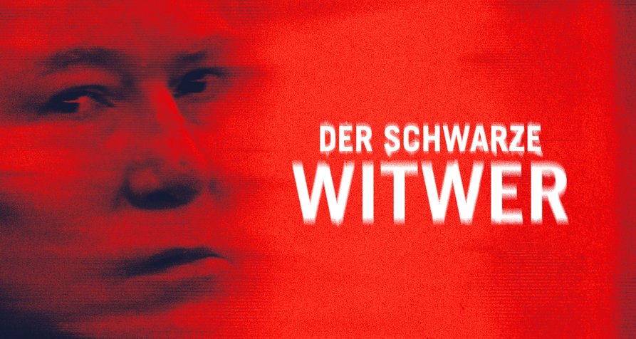 Der schwarze Witwer – Bild: Warner Bros. Discovery