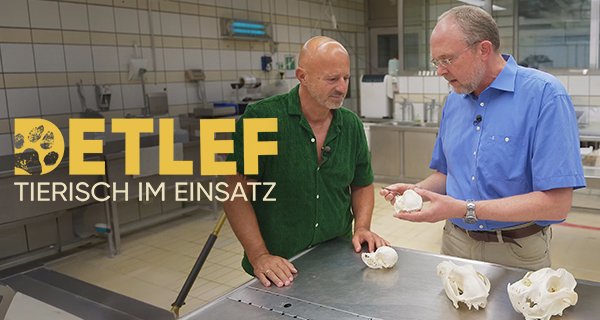 Detlef tierisch im Einsatz – Bild: RTL Detlef tierisch im Einsatz – Bild: RTL